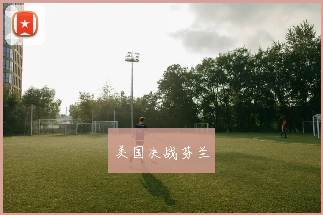美国决战芬兰