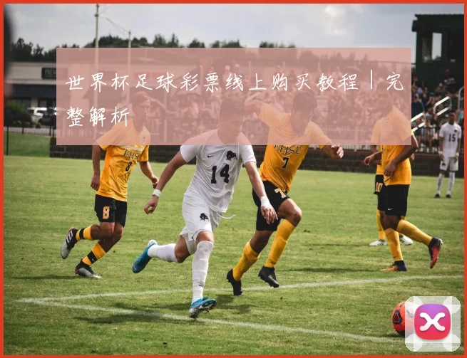 世界杯足球彩票线上购买教程｜完整解析