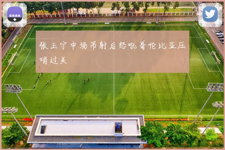 张玉宁中场吊射后怒吼哥伦比亚压哨过关