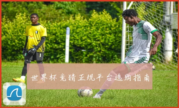 世界杯竞猜正规平台选购指南